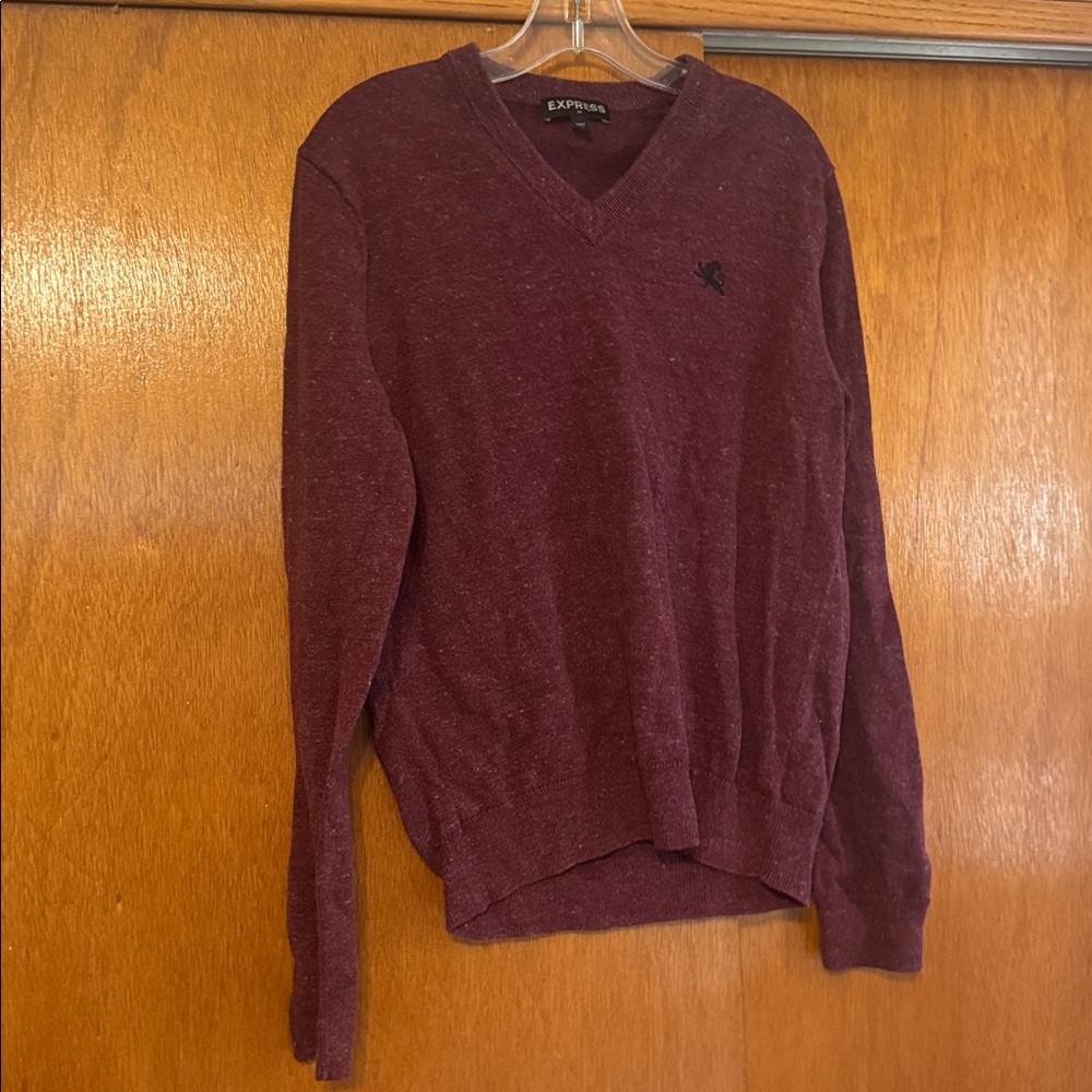 Express Heathered Burgundy V-Neck Sweater